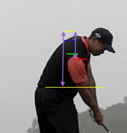 Sping Engine Swing: Lateral Bend
